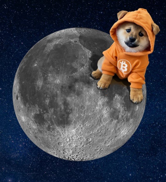 dog-go-to-the-moon